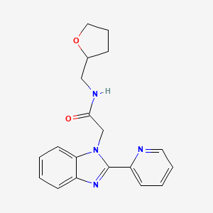 molecular formula C19H20N4O2 B3002765 2-(2-(吡啶-2-基)-1H-苯并[d]咪唑-1-基)-N-((四氢呋喃-2-基)甲基)乙酰胺 CAS No. 1105239-99-3