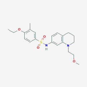 4-ethoxy-N-(1-(2-methoxyethyl)-1,2,3,4-tetrahydroquinolin-7-yl)-3-methylbenzenesulfonamide
