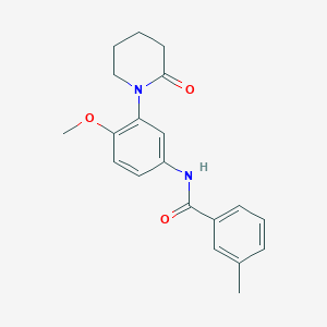 N-[4-methoxy-3-(2-oxopiperidin-1-yl)phenyl]-3-methylbenzamide