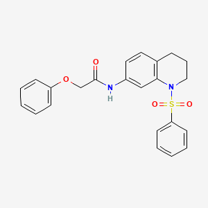 molecular formula C23H22N2O4S B3003219 2-phenoxy-N-(1-(phenylsulfonyl)-1,2,3,4-tetrahydroquinolin-7-yl)acetamide CAS No. 1005301-31-4