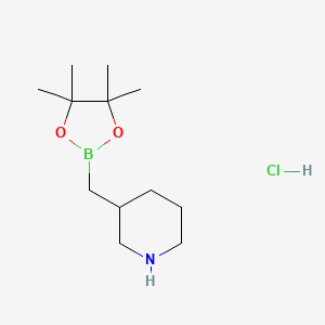 3-((4,4,5,5-Tetramethyl-1,3,2-dioxaborolan-2-yl)methyl)piperidine hydrochloride