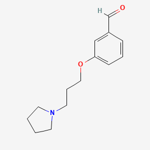 molecular formula C14H19NO2 B3004076 3-[3-(吡咯烷-1-基)丙氧基]苯甲醛 CAS No. 932277-16-2