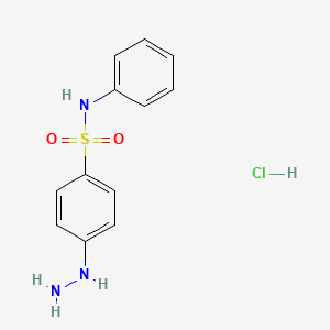 4-hydrazinyl-N-phenylbenzene-1-sulfonamide hydrochloride
