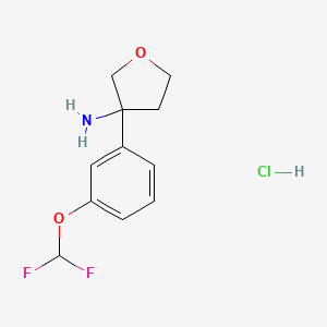 molecular formula C11H14ClF2NO2 B3004434 3-[3-(二氟甲氧基)苯基]氧杂环-3-胺;盐酸盐 CAS No. 2567503-95-9