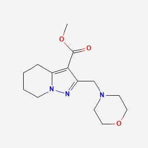 Methyl 2-(morpholin-4-ylmethyl)-4,5,6,7-tetrahydropyrazolo[1,5-a]pyridine-3-carboxylate