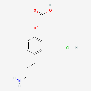 2-[4-(3-Aminopropyl)phenoxy]acetic acid hydrochloride
