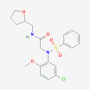 2-[5-chloro-2-methoxy(phenylsulfonyl)anilino]-N-(tetrahydro-2-furanylmethyl)acetamide