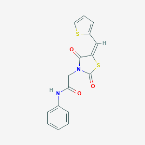 molecular formula C16H12N2O3S2 B300700 2-[(5E)-2,4-dioxo-5-(thiophen-2-ylmethylidene)-1,3-thiazolidin-3-yl]-N-phenylacetamide 