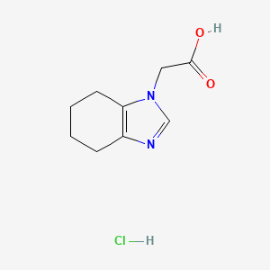 2-(4,5,6,7-tetrahydro-1H-1,3-benzodiazol-1-yl)acetic acid hydrochloride
