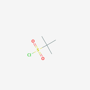 molecular formula C4H9ClO2S B3008296 2-甲基丙烷-2-磺酰氯 CAS No. 10490-22-9