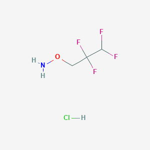 O-(2,2,3,3-Tetrafluoropropyl)hydroxylamine;hydrochloride