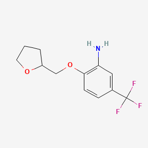 molecular formula C12H14F3NO2 B3008540 2-(Tetrahydro-furan-2-ylmethoxy)-5-trifluoromethyl-phenylamine CAS No. 309282-21-1