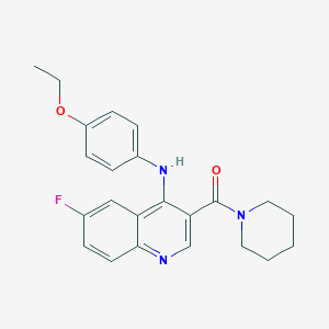 molecular formula C23H24FN3O2 B3009895 (4-((4-Ethoxyphenyl)amino)-6-fluoroquinolin-3-yl)(piperidin-1-yl)methanone CAS No. 1351805-31-6