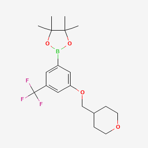 molecular formula C19H26BF3O4 B3010318 3-(Tetrahydro-2H-pyran-4-ylmethoxy)-5-trifluoromethylphenylboronic acid, pinacol ester CAS No. 2096330-34-4