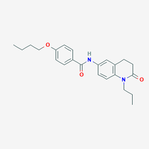 molecular formula C23H28N2O3 B3011970 4-butoxy-N-(2-oxo-1-propyl-1,2,3,4-tetrahydroquinolin-6-yl)benzamide CAS No. 954704-26-8