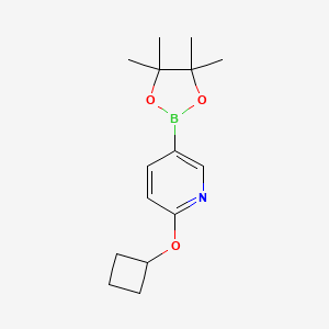 6-(Cyclobutoxy)pyridine-3-boronic acid pinacol ester