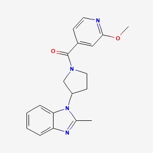 molecular formula C19H20N4O2 B3012215 (2-methoxypyridin-4-yl)(3-(2-methyl-1H-benzo[d]imidazol-1-yl)pyrrolidin-1-yl)methanone CAS No. 2034421-96-8