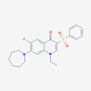 molecular formula C23H25FN2O3S B3013283 7-氮杂环-1-基-1-乙基-6-氟-3-(苯磺酰基)喹啉-4(1H)-酮 CAS No. 892758-58-6