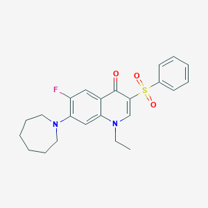 7-azepan-1-yl-1-ethyl-6-fluoro-3-(phenylsulfonyl)quinolin-4(1H)-one