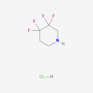 molecular formula C5H8ClF4N B3013849 3,3,4,4-Tetrafluoropiperidine hydrochloride CAS No. 2171797-82-1