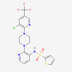 molecular formula C19H17ClF3N5O2S2 B3014106 N-(2-{4-[3-chloro-5-(trifluoromethyl)-2-pyridinyl]piperazino}-3-pyridinyl)-2-thiophenesulfonamide CAS No. 338411-80-6
