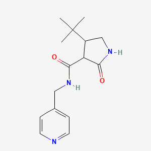 4-tert-butyl-2-oxo-N-[(pyridin-4-yl)methyl]pyrrolidine-3-carboxamide