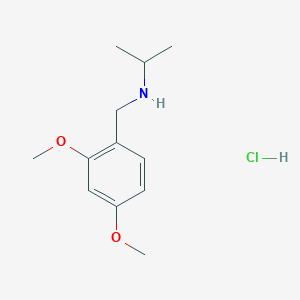 molecular formula C12H20ClNO2 B3016214 [(2,4-Dimethoxyphenyl)methyl](propan-2-yl)amine hydrochloride CAS No. 1158428-52-4