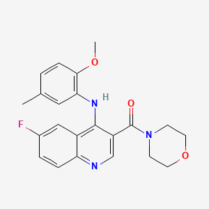 molecular formula C22H22FN3O3 B3016999 (6-氟-4-((2-甲氧基-5-甲基苯基)氨基)喹啉-3-基)(吗啉基)甲酮 CAS No. 1359450-76-2