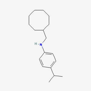 molecular formula C18H29N B3017112 N-(cyclooctylmethyl)-4-propan-2-ylaniline CAS No. 1397198-94-5