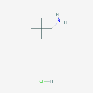 molecular formula C8H18ClN B3017143 2,2,4,4-Tetramethylcyclobutan-1-amine hydrochloride CAS No. 2231673-87-1