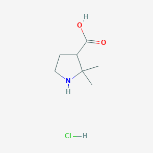 2,2-Dimethylpyrrolidine-3-carboxylic acid;hydrochloride