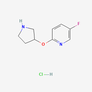 molecular formula C9H12ClFN2O B3018311 5-氟-2-(吡咯烷-3-氧基)吡啶盐酸盐 CAS No. 1779126-62-3