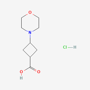 3-Morpholin-4-ylcyclobutane-1-carboxylic acid;hydrochloride