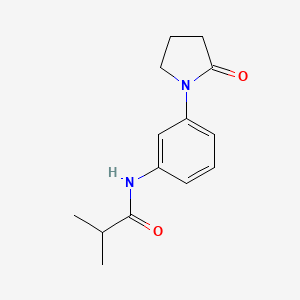 molecular formula C14H18N2O2 B3020128 N-(3-(2-oxopyrrolidin-1-yl)phenyl)isobutyramide CAS No. 922886-90-6