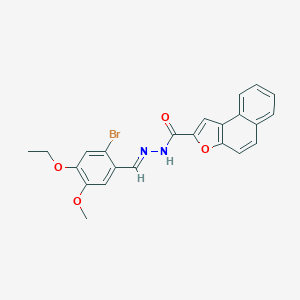 molecular formula C23H19BrN2O4 B302030 N'-[(E)-(2-bromo-4-ethoxy-5-methoxyphenyl)methylidene]naphtho[2,1-b]furan-2-carbohydrazide 