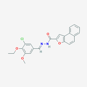 molecular formula C23H19ClN2O4 B302035 N'-(3-chloro-4-ethoxy-5-methoxybenzylidene)naphtho[2,1-b]furan-2-carbohydrazide 