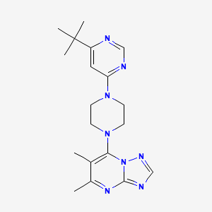 molecular formula C19H26N8 B3020386 4-Tert-butyl-6-(4-{5,6-dimethyl-[1,2,4]triazolo[1,5-a]pyrimidin-7-yl}piperazin-1-yl)pyrimidine CAS No. 2380144-56-7