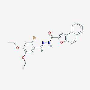molecular formula C24H21BrN2O4 B302086 N'-[(E)-(2-bromo-4,5-diethoxyphenyl)methylidene]naphtho[2,1-b]furan-2-carbohydrazide 