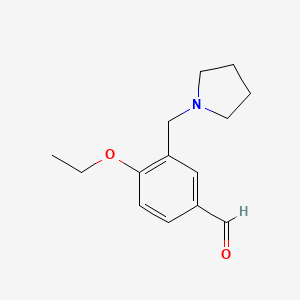 molecular formula C14H19NO2 B3021014 4-Ethoxy-3-(pyrrolidin-1-ylmethyl)benzaldehyde CAS No. 932870-32-1