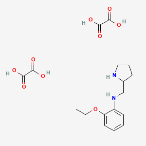 molecular formula C17H24N2O9 B3021127 2-ethoxy-N-(pyrrolidin-2-ylmethyl)aniline dioxalate CAS No. 1177355-31-5