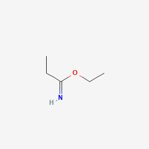 molecular formula C5H11NO B3021172 Ethyl propanimidoate CAS No. 1070-17-3