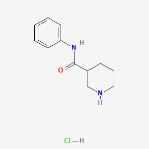 molecular formula C12H17ClN2O B3021630 N-Phenyl-3-piperidinecarboxamide hydrochloride CAS No. 521969-45-9