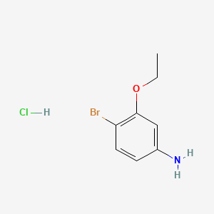 molecular formula C8H11BrClNO B3021677 4-Bromo-3-ethoxyaniline hydrochloride CAS No. 846023-33-4