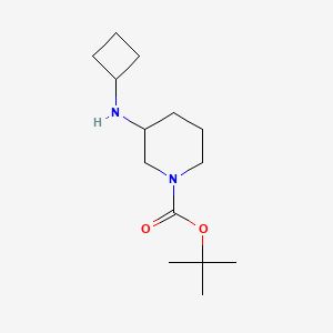 molecular formula C14H26N2O2 B3021708 Tert-butyl 3-(cyclobutylamino)piperidine-1-carboxylate CAS No. 887586-09-6