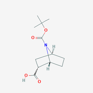 molecular formula C12H19NO4 B3021769 (1R,2R,4S)-7-[(tert-Butoxy)carbonyl]-7-azabicyclo[2.2.1]heptane-2-carboxylic acid CAS No. 711082-67-6
