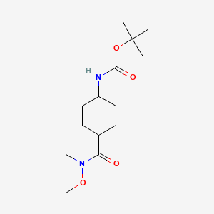 molecular formula C14H26N2O4 B3021817 Tert-butyl trans-4-(N-methoxy-N-methylcarbamoyl)cyclohexylcarbamate CAS No. 304873-79-8