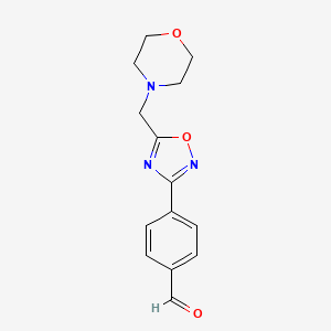 molecular formula C14H15N3O3 B3022192 4-(5-(Morpholinomethyl)-1,2,4-oxadiazol-3-yl)benzaldehyde CAS No. 1119450-76-8