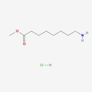 molecular formula C9H20ClNO2 B3022611 Methyl 8-aminooctanoate hydrochloride CAS No. 77420-98-5