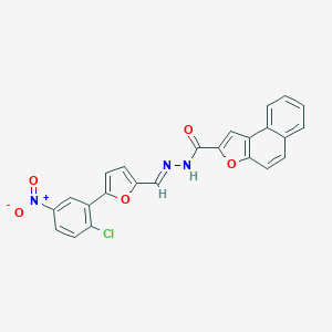molecular formula C24H14ClN3O5 B302305 N'-[(5-{2-chloro-5-nitrophenyl}-2-furyl)methylene]naphtho[2,1-b]furan-2-carbohydrazide 