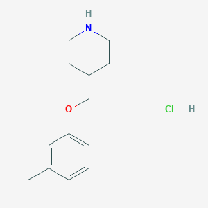 molecular formula C13H20ClNO B3023065 4-[(3-Methylphenoxy)methyl]piperidine hydrochloride CAS No. 614731-24-7